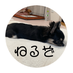hikaru_20230503092307