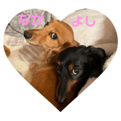 SAKURA_20230502221737