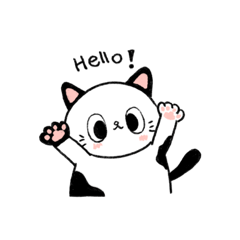 Cookie-Black&White Cat