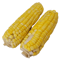 Food Series : Some Corn #5