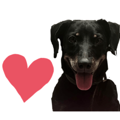 王家小寶貝❤️