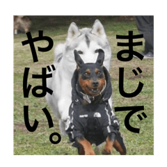 YUKA_20230503174024
