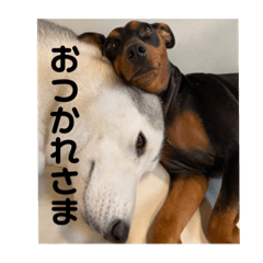YUKA_20230503160100