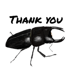 Kata kou_20230503160836