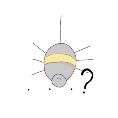 hana_20230503183353