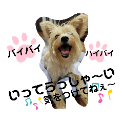 smile_20230504095220