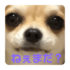 alice_20230503160131