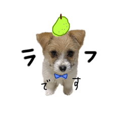 Natsumi_20230503222832