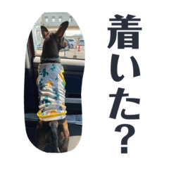 Kamachan Dogs 3