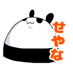 RIRIKA_20230504123728