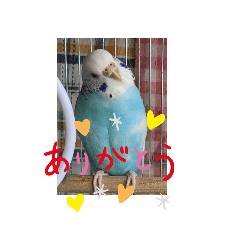 NAO_20230504131246