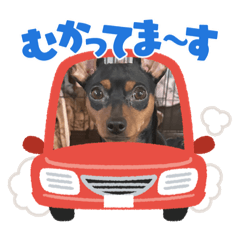 Hikari_20230504134701