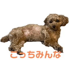 WING_20230504153923