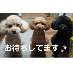 shiho_20230504173037