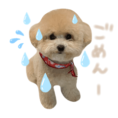 2kynchy_20230504174639