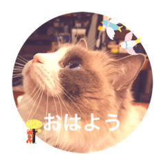 Aoi_20230504180132