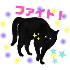 黒猫ゴマちゃん(くろねこゴマ②) - LINE スタンプ | LINE STORE