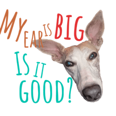 YUKARI_20230503140922