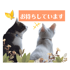 yuka_20230505043658
