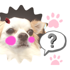 もんきちとの暮らしー - LINE スタンプ | LINE STORE