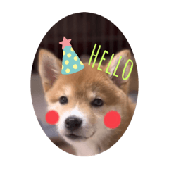yuka_20230504231803