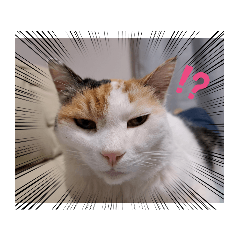 HaNa_20230504232349