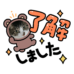 NAO_20230505115712
