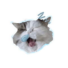 MIwmo_20230503132004