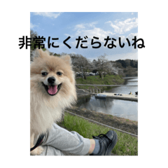 zaku_20230504183357