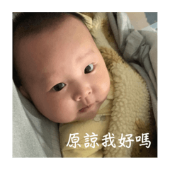 劉家可愛小妞