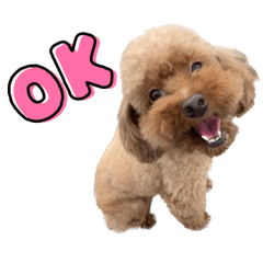 Sakura_20230505125711