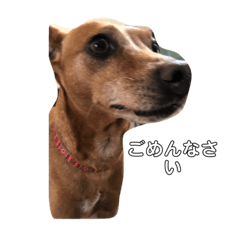 hikari_20230505142758