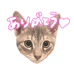 Mstudio_20230505162017