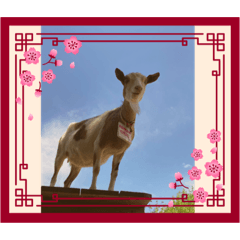 tamakoto_20230505155708