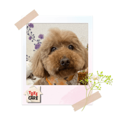 SAYURI_20230505191059