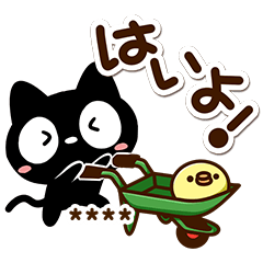 Very cute black cat (Custom47)