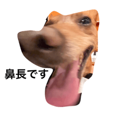 hikari_20230505201101