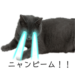 ruitorasyaruru_20230504170239qwe