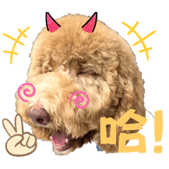 Xuan_20230505235856 – LINE stickers | LINE STORE