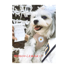 Arisa_20230505215417