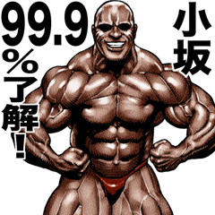 Kosaka dedicated Muscle macho sticker