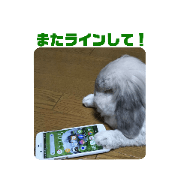 snoopkyo_20230505201735