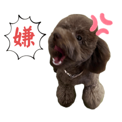 ruru_20230506105730