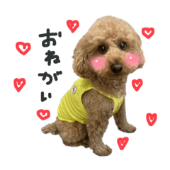 boniKare_20230505215207