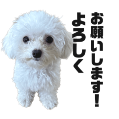 AOI_20230506141113