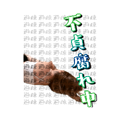 Powerful-shintarotan_20230504070655