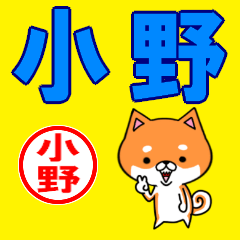 ★小野(おの・オノ)な柴犬のシバッキー
