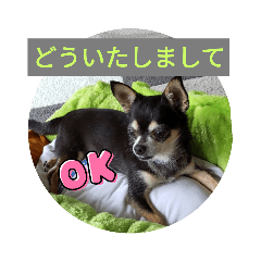 Smile_20230506160915