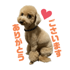 HIKARI_20230506233347