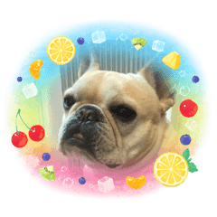 arisa_20230507105512